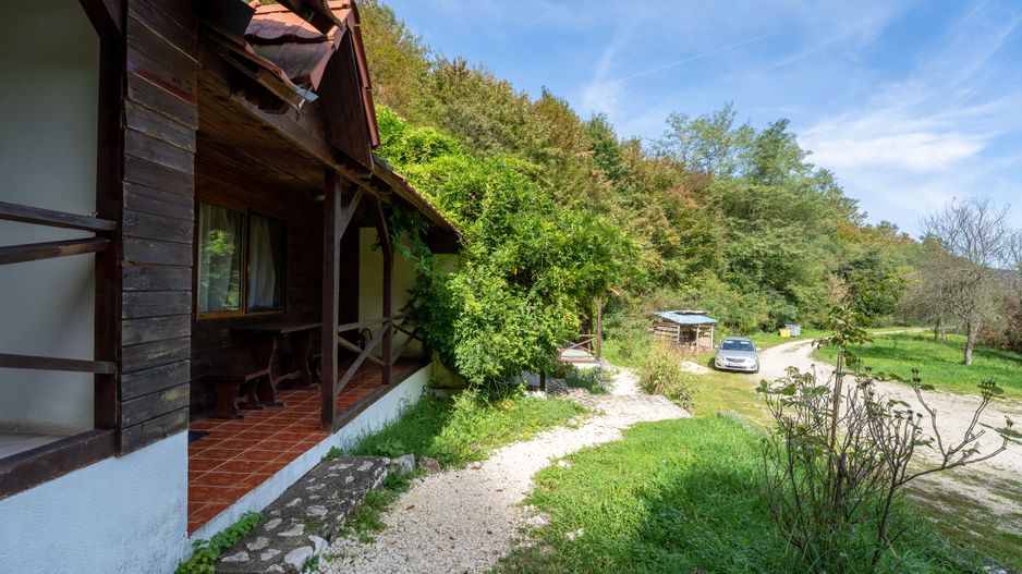 Domeniu în satul Căprioara - Poză 7