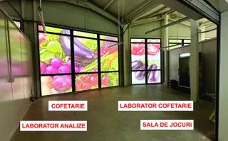 Spatii comerciale de inchiriat in PIATA DELFINULUI - Poză 12