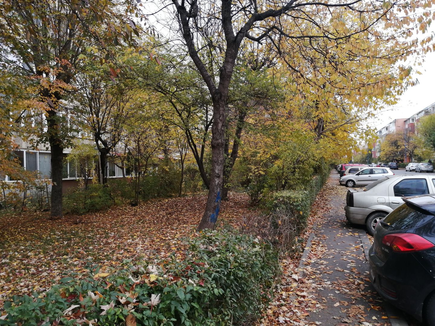 2 camere zona pietei Tractorul - Poză 16