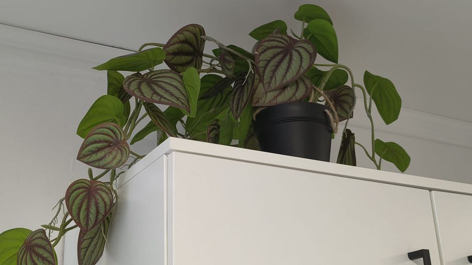 Chirie, 2 camere, West Residence. 430 E/lună (neg). Comision 0 - Poză 15