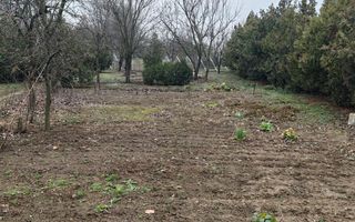 Teren 2.600 mp, utilități, Str. Merișor – Giurgiu - Poză 4