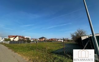 Torontalului Teren Intravilan 4200mp front 37 - Poză 3