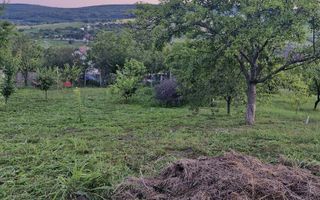 Teren intravilan de vanzare, Chicerea, 740 mp, strada Canarului, Tomesti - Poză 7