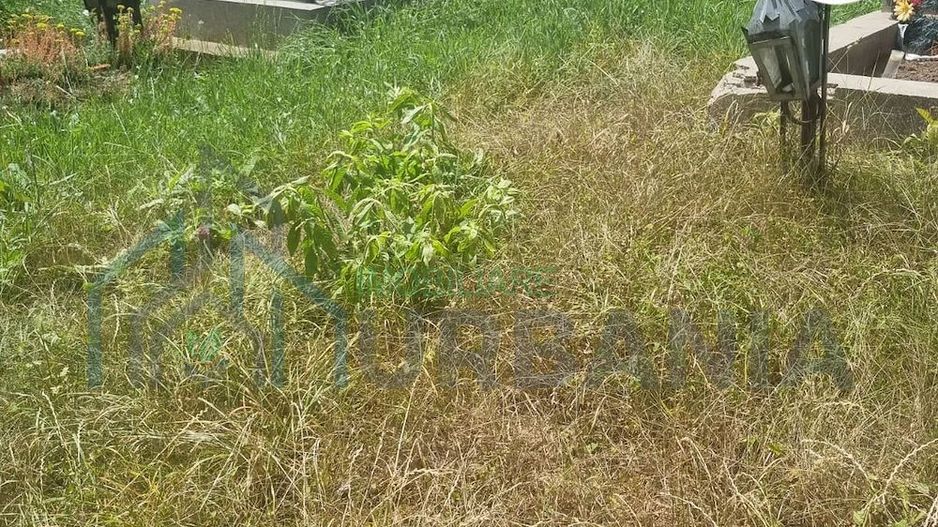 Loc de veci în Cimitirul Buna Vestire, Parcela 6, Rând 5, Locul 16 – 2.300 Euro - Poză 1