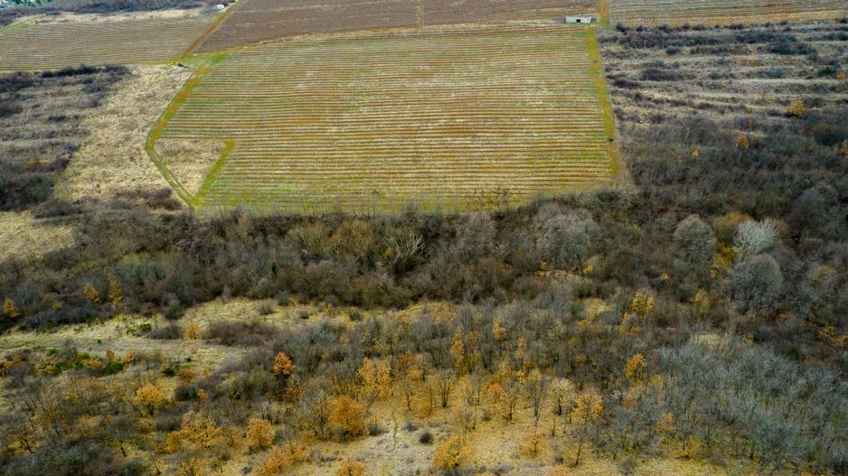 Teren pe deal în Miniș - Poză 8