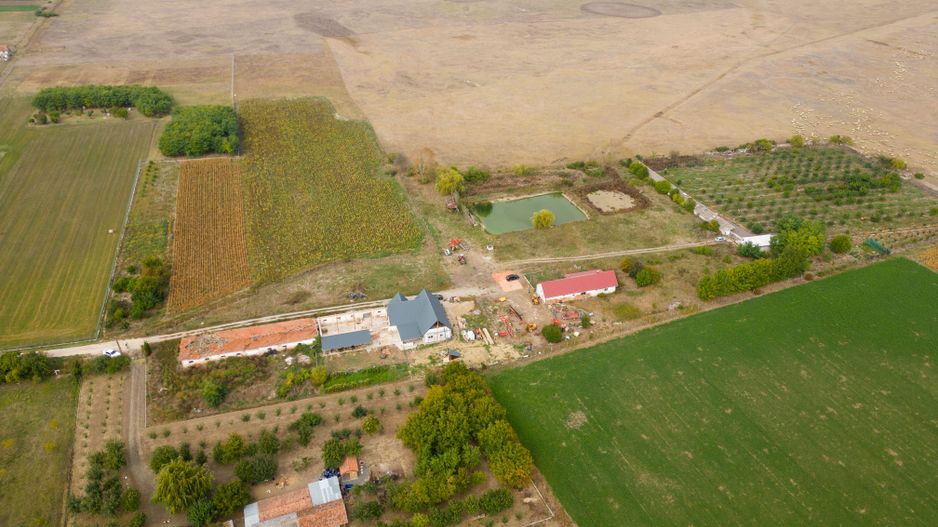 Teren intravilan cu iazuri și casă - Chișineu-Criș - Poză 20