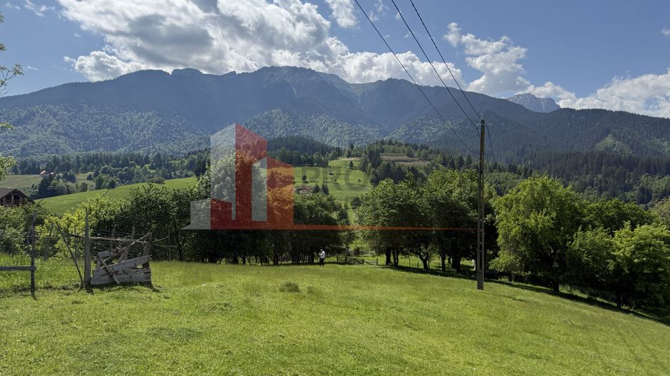 Teren cu priveliște spectaculoasă în Bran – Sohodol - Poză 10