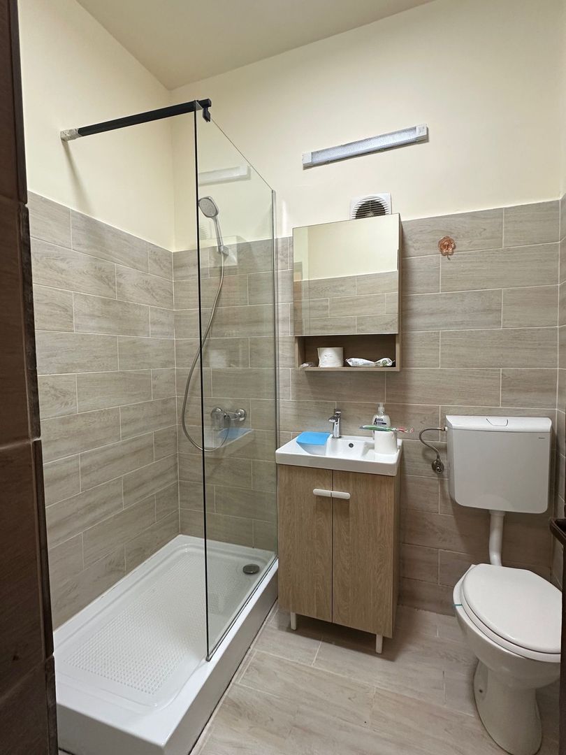 Inchiriere Casa-curte- 1Mai zona Expozitiei - Poză 6