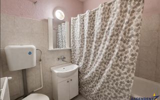 Nivel in casa cu 2 apartamente,145 mp utili+ teren 338mp, Gheorghe Doja - Poză 5