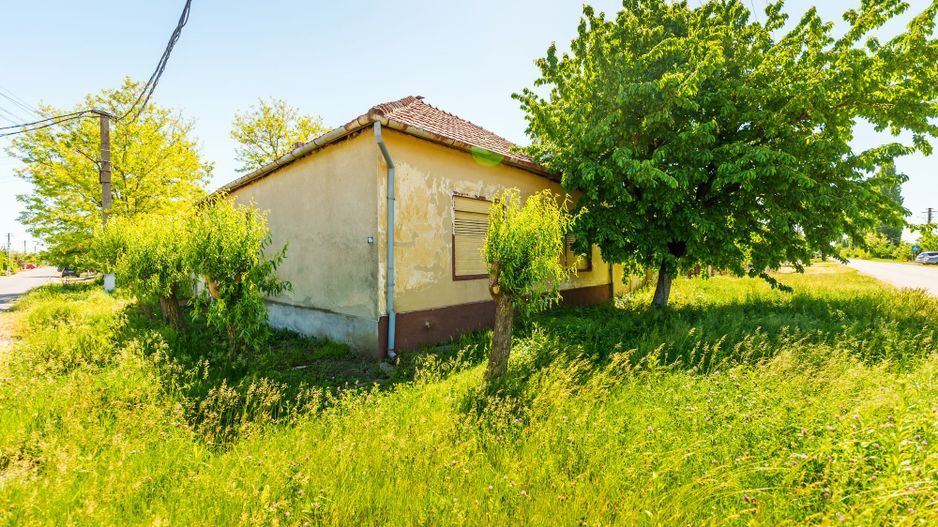 Casă cu potențial în Iratoș - Poză 2