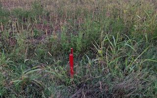 Teren de vanzare|Ciolpani |Utilitati si acces facil in Bucuresti - Poză 4