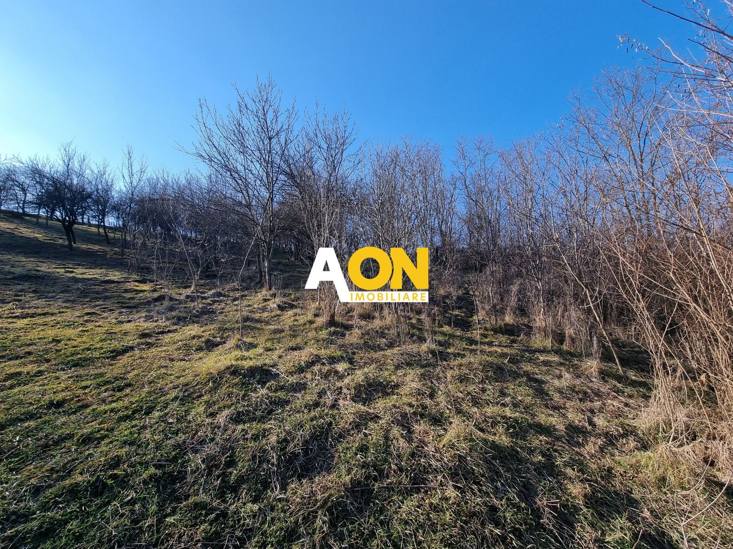 De vanzare 943 mp teren intravilan, cu utilitati, Oarda de Sus - Poză 3