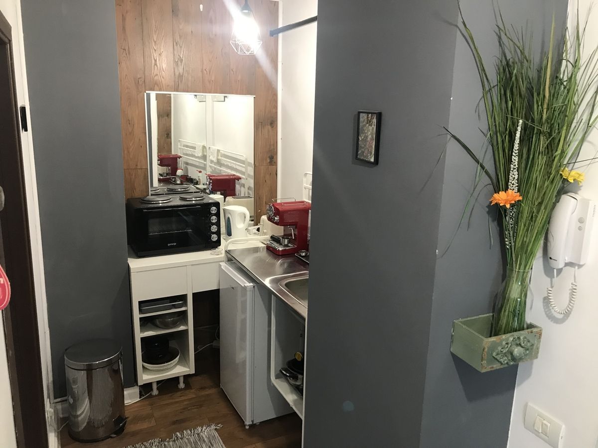 Splaiul Unirii, Mihai Bravu, parter in vila - Poză 10