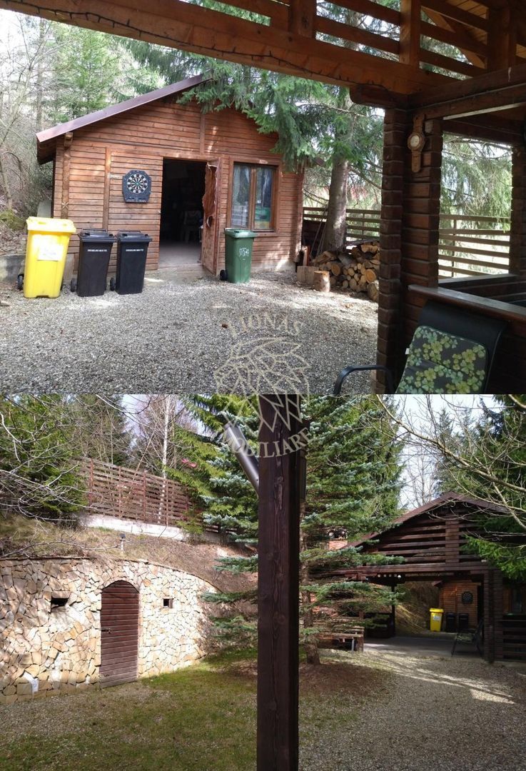 Cabana 160 mp-teren 5 ari-Foisor cu barbecue-La cheie-Colibita - Poză 7