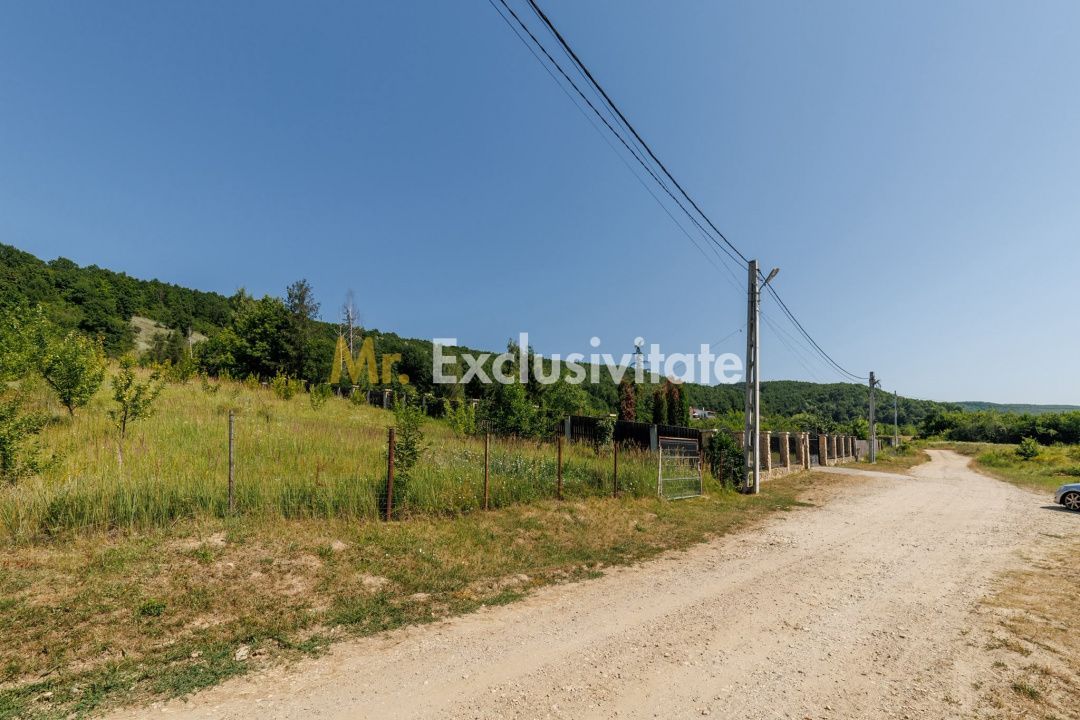 Teren intravilan Ștefănești Valea Mare Podgoria - Poză 3