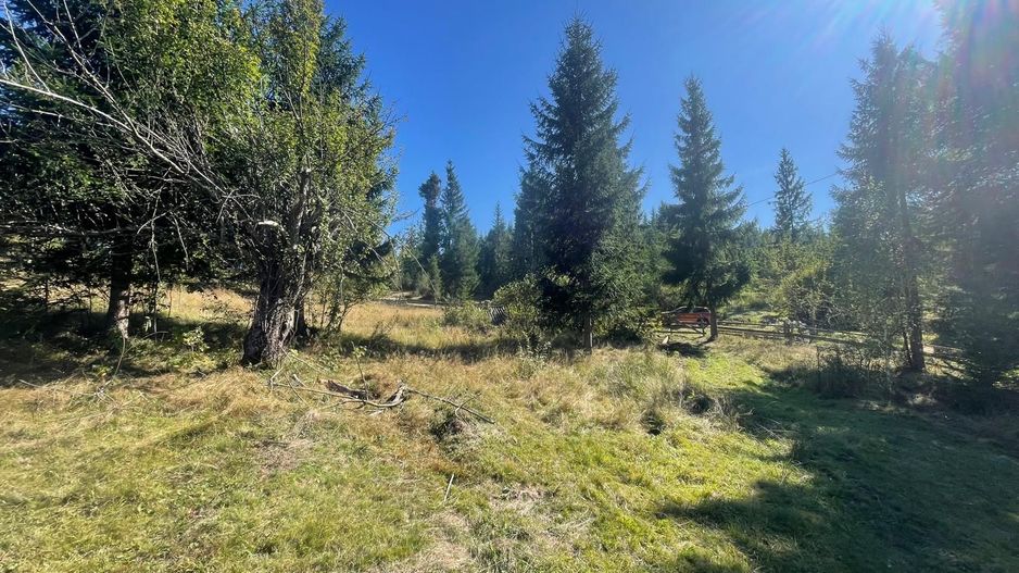 Teren Intravilan | Dealul Negru | Investiție | 1500 mp - Poză 2