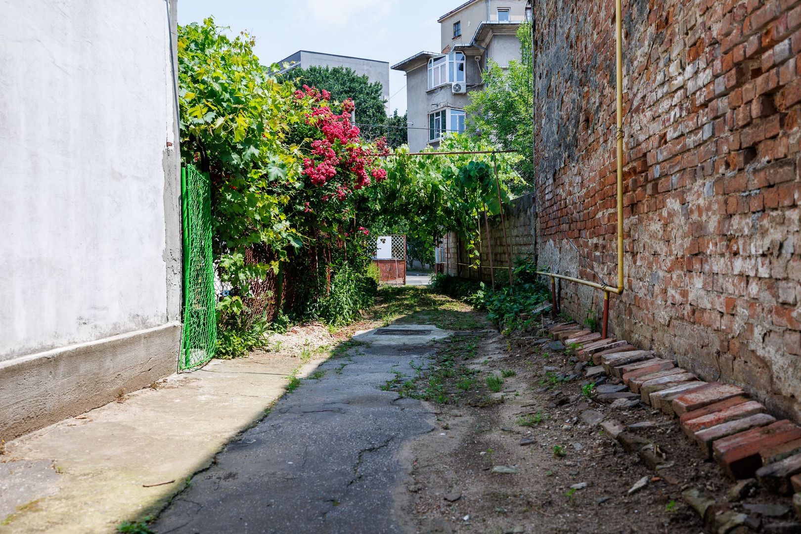 FOISORUL DE FOC | Teren 259mp cu casa veche 9 min metrou Iancului - Poză 32