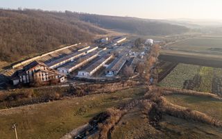 Fosta Ferma a Partidului de la Horgesti - de vanzare - Poză 12