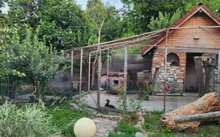 Vila Horezu Romanii de Jos - Poză 23
