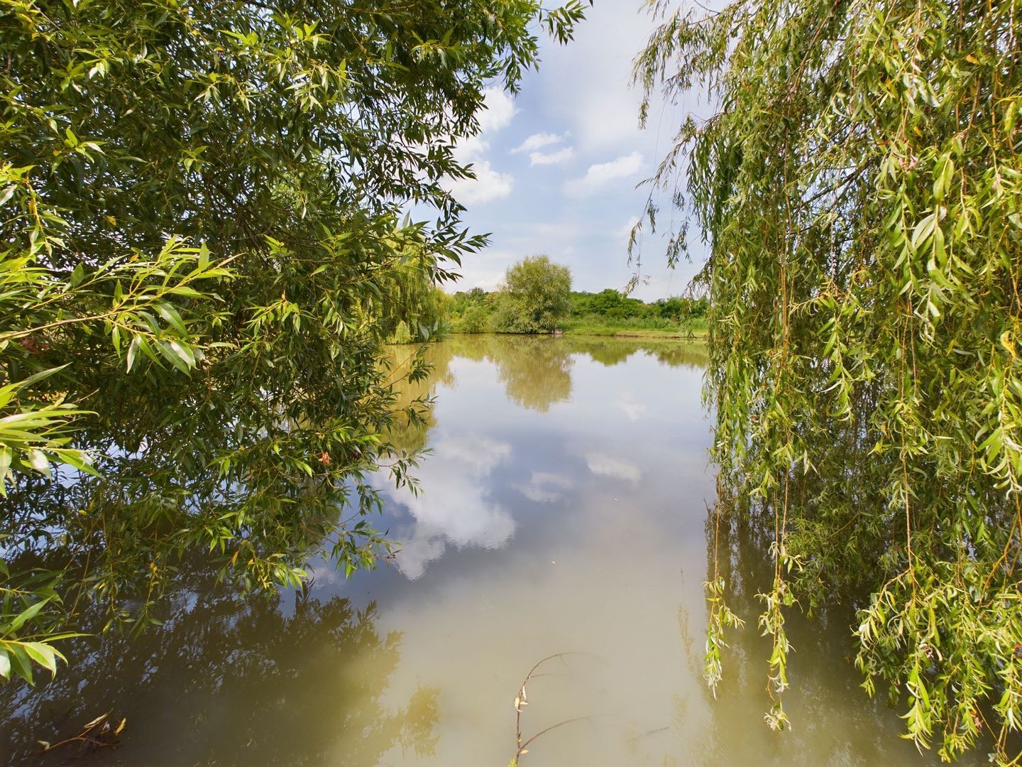 Moară istorică cu teren și luciu de apă în Aldești - Poză 6