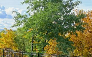 Vila Moderna - Calitate Premium - 5 camere - MOBILATA - 775mp teren - Poză 4