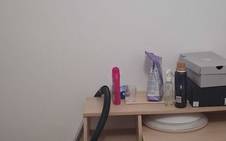 Apartament de închiriat, 1 cameră, Dancu, parter, decomandat, mobilat și utilat - Poză 7