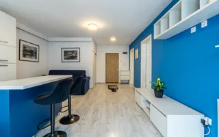 2 camere, Intre Lacuri str. Tarnavelor Zona Aurel Vlaicu, 18 GYM - Poză 12