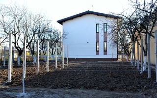 Casa P+1 + teren - posibilitate dezvoltare imobiliara I Drumul Taberei - Poză 2