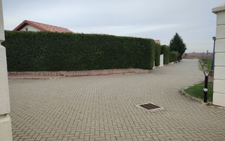 Sanandrei, Cartier Rezidential cu Spatii de Agrement si Parcuri, Acces Rapid - Poză 3