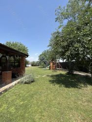 Casa de vanzare | Silistea Snagovului | teren mare - Poză 4