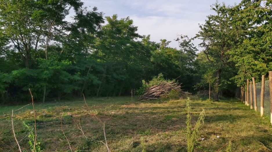 Teren zona montana in com.Turcinesti Jud.Gorj - Poză 3