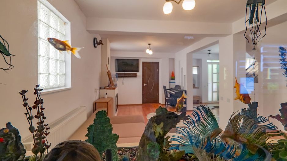 CASA P+1 | EFICIENTA ENERGETIC | VALU LUI TRAIAN - Poză 4