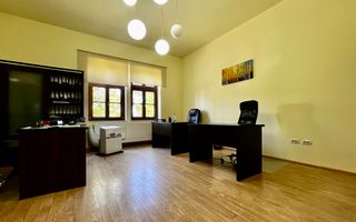 Apartament pretabil birou sau investiție, Central - Take Ionescu - Poză 4