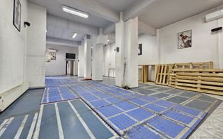Spatiu comercial/Zona Interservisan - Poză 14