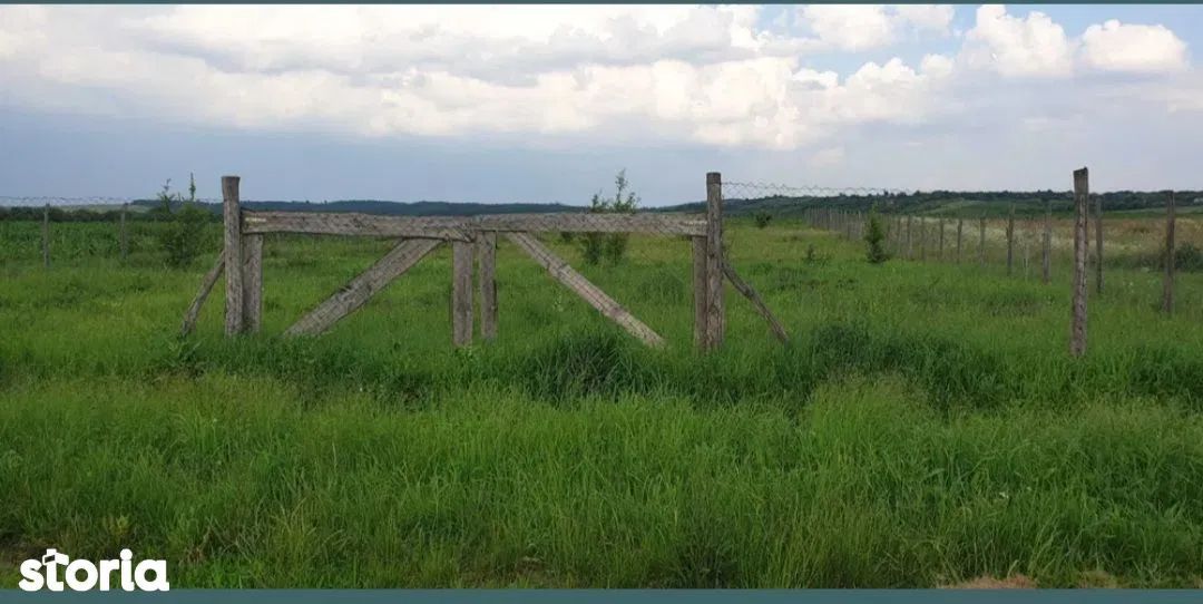 Ag EUROPA vinde 21 ari teren ingradit cu toate utilitatile în Ardud. - Poză 1