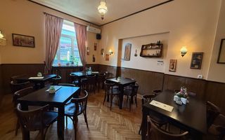 VILA LOCATIE UNICA GRADINA ICOANEI - Poză 2