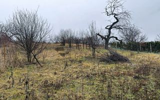 Teren intravilan 1765 mp cu panorama in Cartierul Podgoria - Poză 5