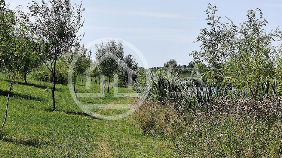 De vanzare BALTA DE PESCUIT, 3,80 ha, cabana din busteni, langa Vama Bors, Bihor - Poză 22