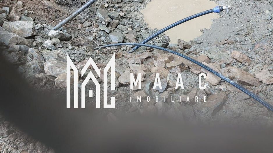 5000 teren in Muntii Apuseni I Pregatit pentru constructie - Poză 13