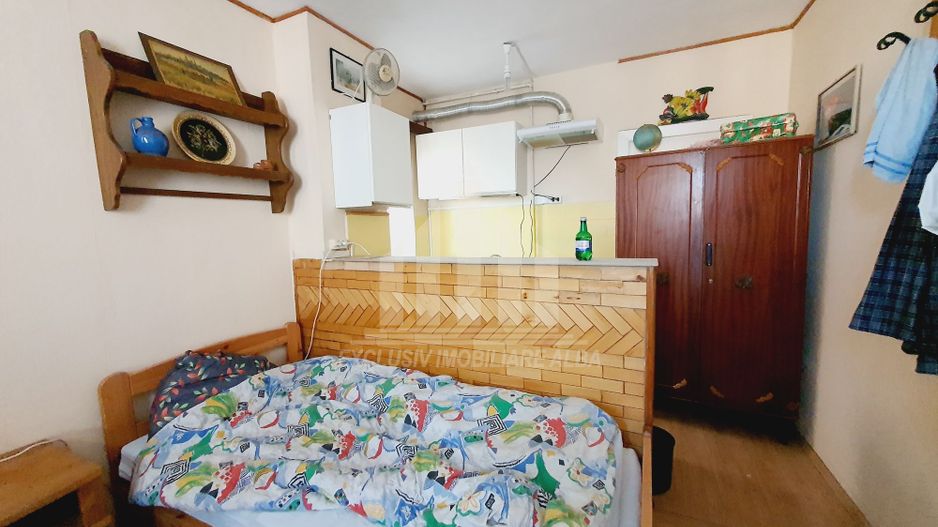 Casa individuala de vanzare, Cetate - Poză 12