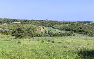Casa la tara de vanzare, teren mare, 2 intrari auto - Calea Mare, Biho - Poză 19