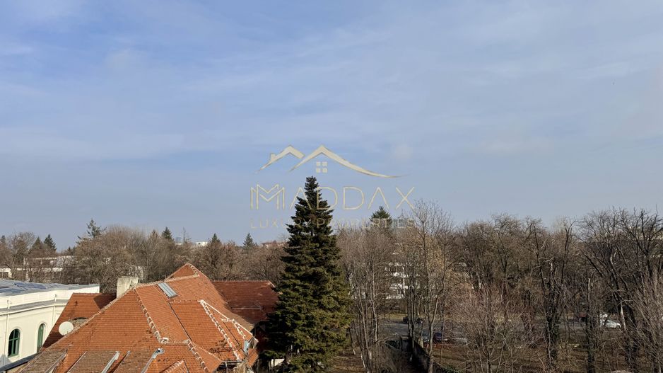Resedinta de lux / *Kiseleff* - Poză 71
