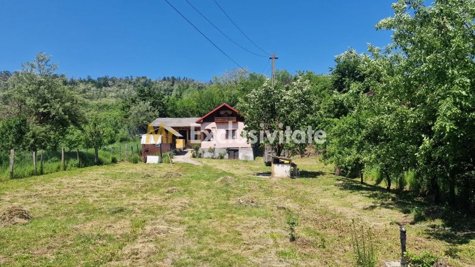 Proprietate în Comuna Botești, Județul Argeș – Zonă Pitorească și Liniștită ! - Poză 2