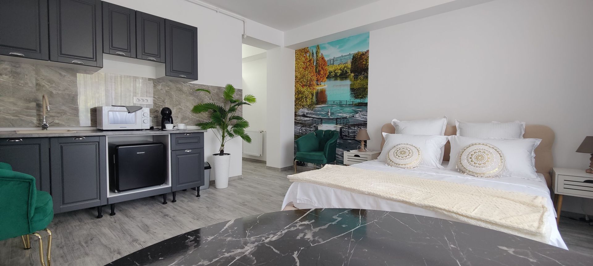 Studio modern, 40 mp | Strada Samuil Vulcan - Poză 4