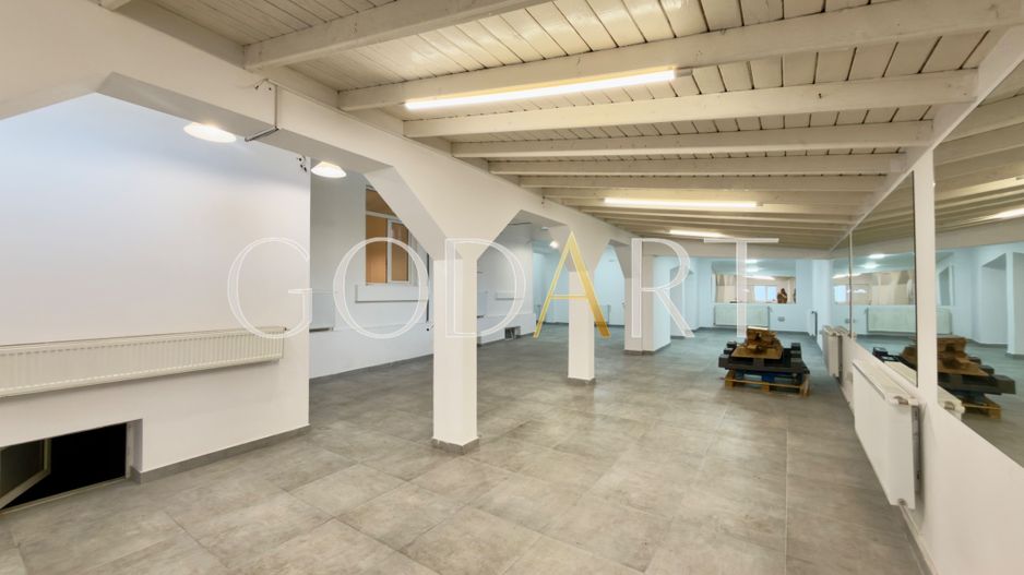 Vila spatioasa | Complet renovată | Central - Poză 4