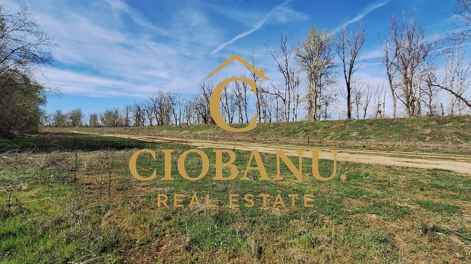 Casa de vanzare in Leamna de Jos - Poză 12