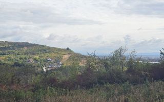 Teren intravilan Podgoria 7000mp - Poză 3