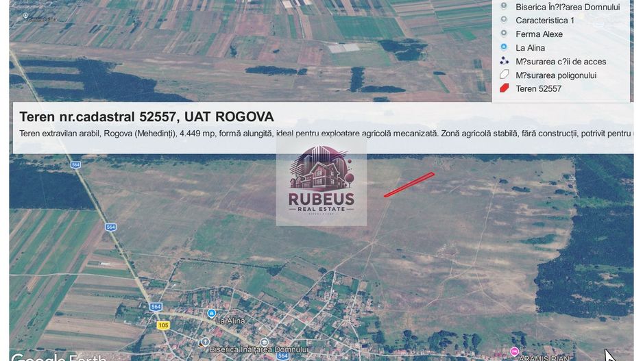 💎 BEST BUY AGRICOL: 1 HECTAR TEREN ROGOVA | CADUSTRU EFECTUAT | PREȚ - Poză 2