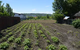 Casă Burdujeni/Suceava - Poză 28