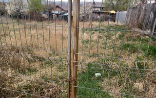 Teren Intravilan 652mp | Zona Gușterița - Poză 5